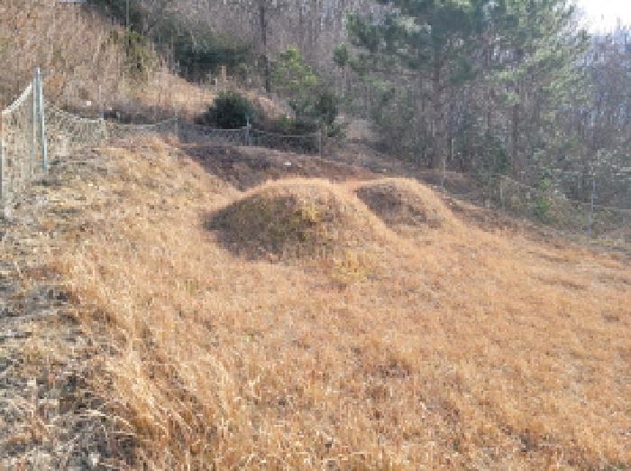 본건1항 서쪽에 위치하는 분묘사진.