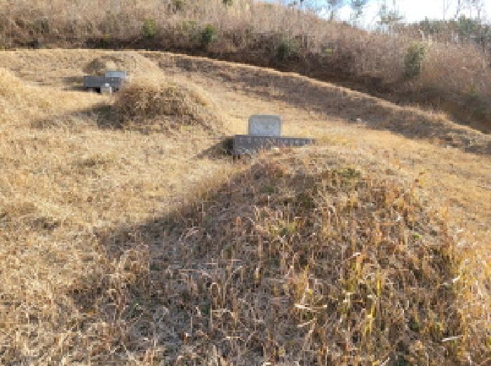 본건1항 북동쪽에 위치하는 분묘사진.