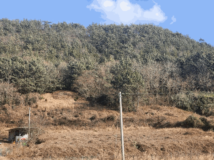본건 서측 전경