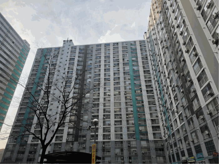 본건 전경