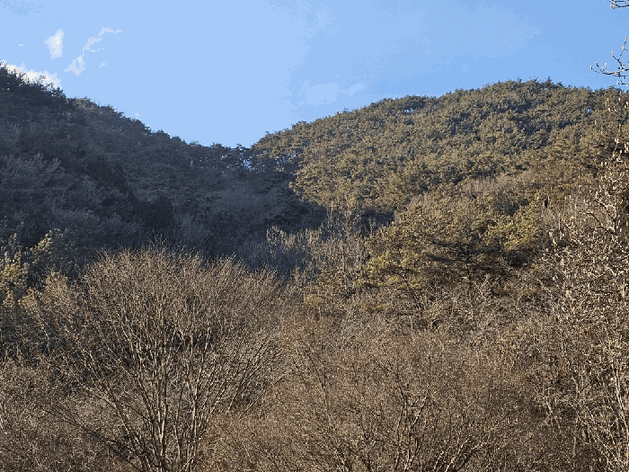 기호(2)~(6)