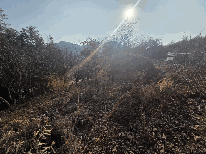 일련번호(2) 근경