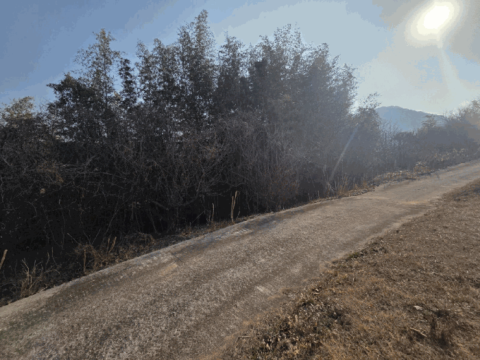 일련번호(3) 근경