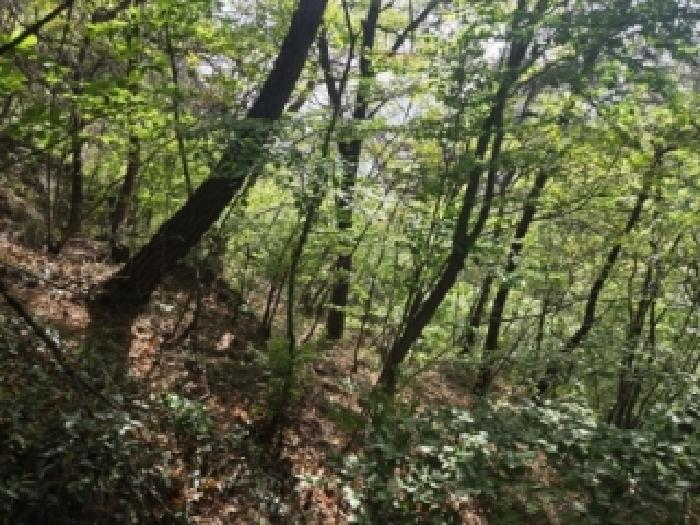 목록1,2,3(임야)
- 내부 전경