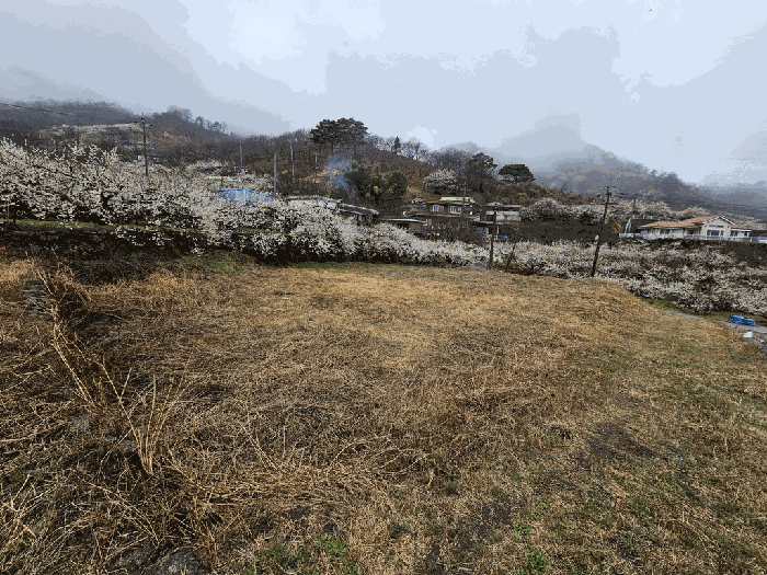 기호(1)