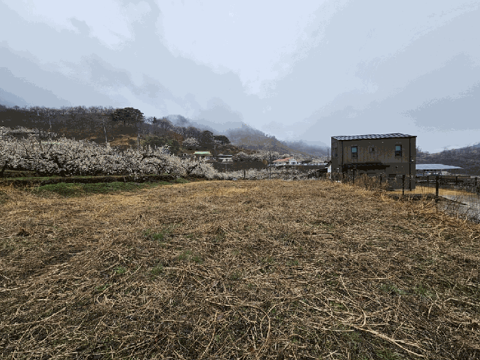 기호(3)