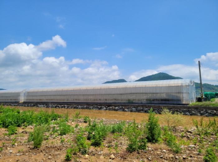 본건1항 전경사진.
