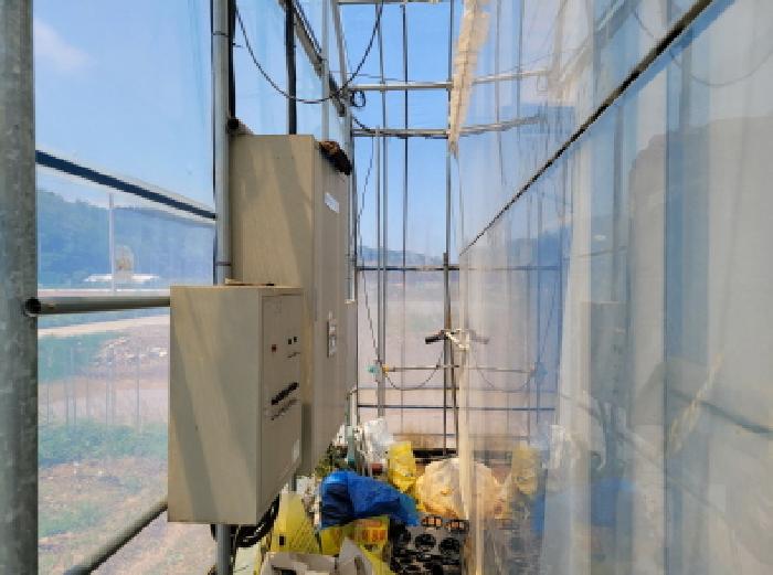 본건1항 비닐하우스 내부사진.