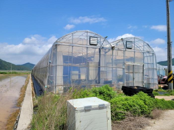 본건1항 비닐하우스 정면사진.