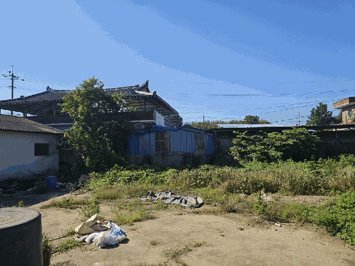 본건 전경