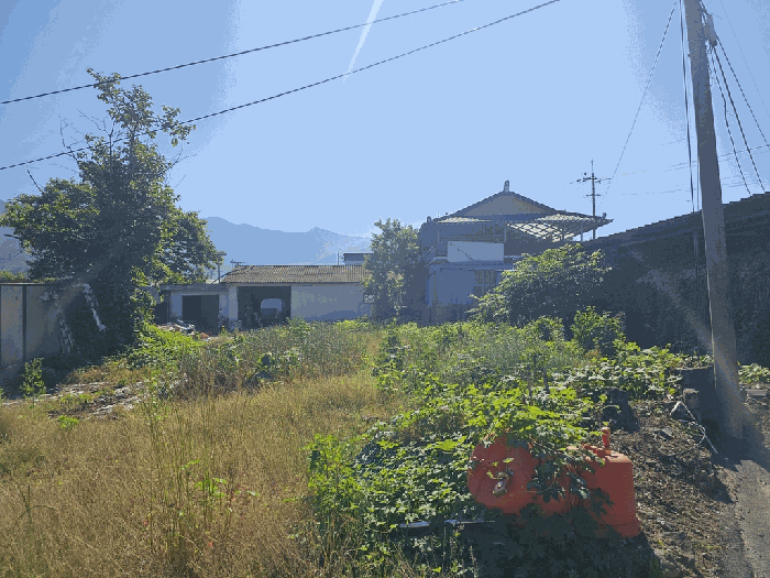 기호(1)
