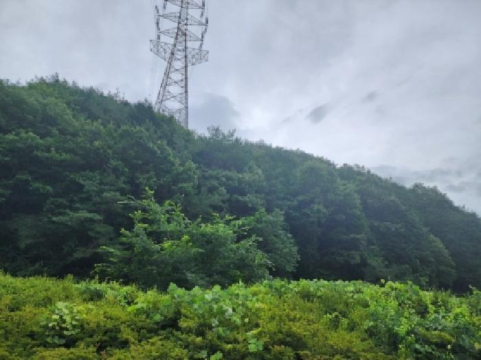 본건 8 전경