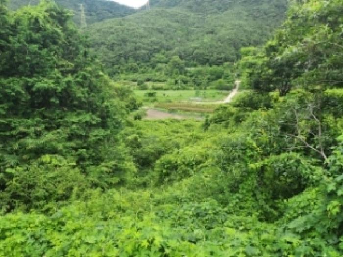 본건 5 전경