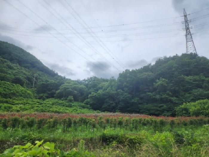 본건 8 전경