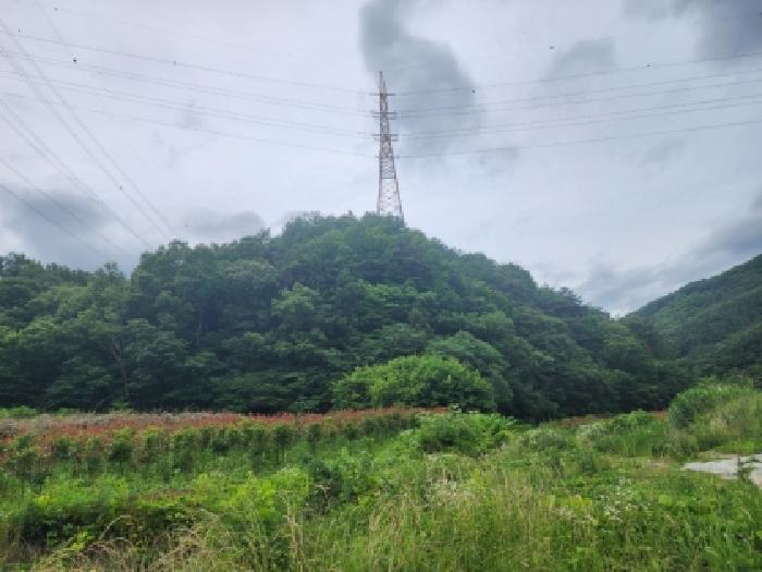 본건 8 전경