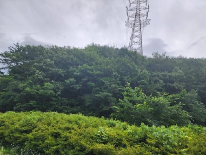 본건 8 전경