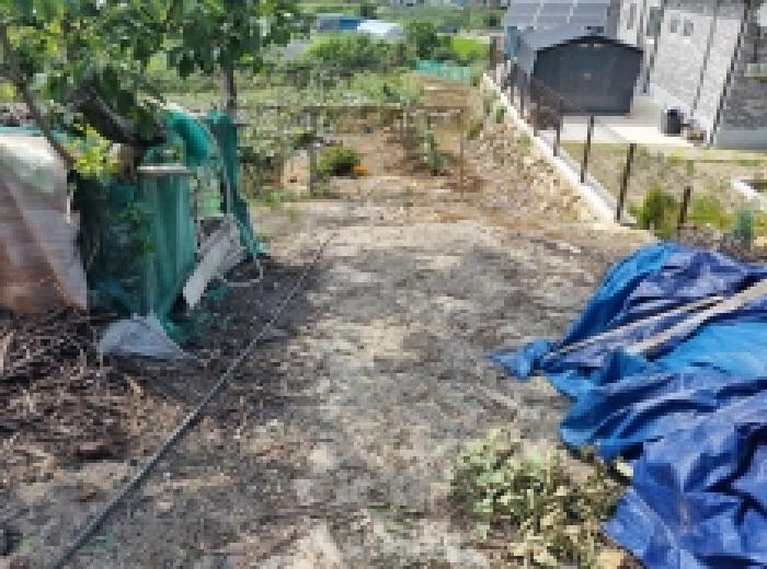 본건 동측 경계 및 이동가능한 도로의 끝구간