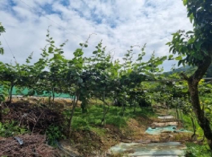 본건 동측 전경
