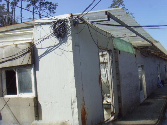 6-가