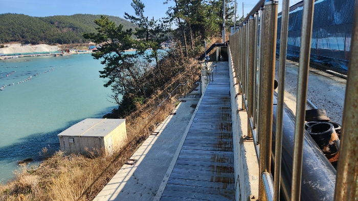 본건 기호(20)