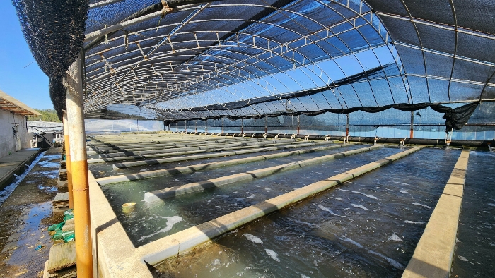기계기구(3)