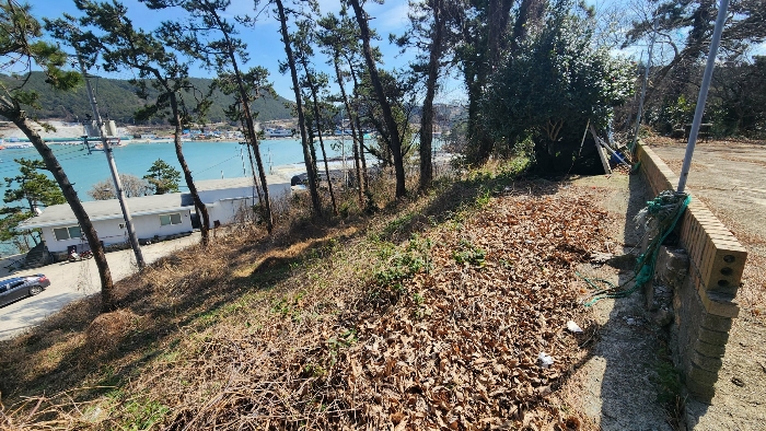 본건 기호(18)