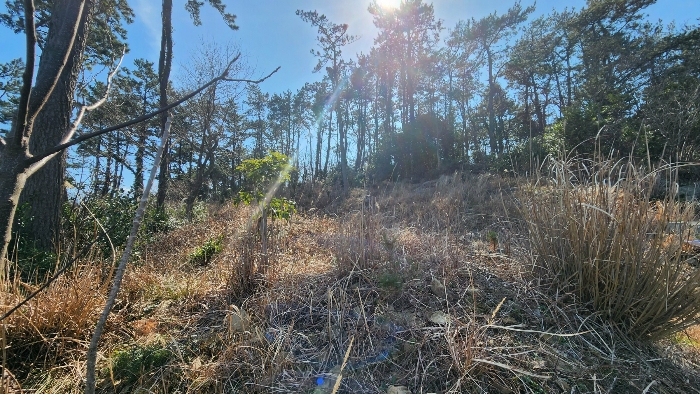 본건 기호(17)