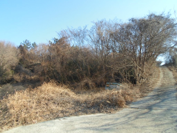 기호 7 전경 (남서측에서 촬영)