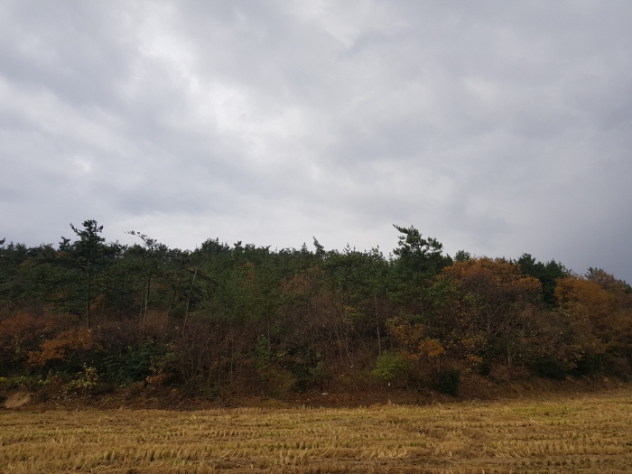 일련번호(1)