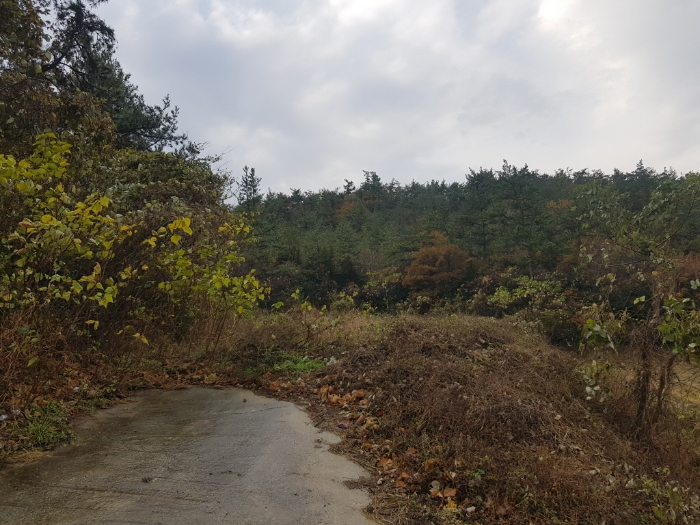 일련번호(2)