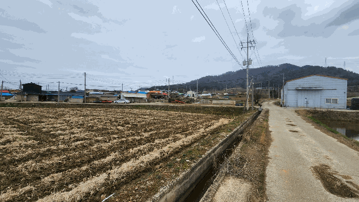 본건 접면도로 및 주위환경