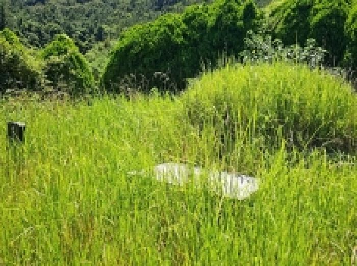 1-분묘, 묘석