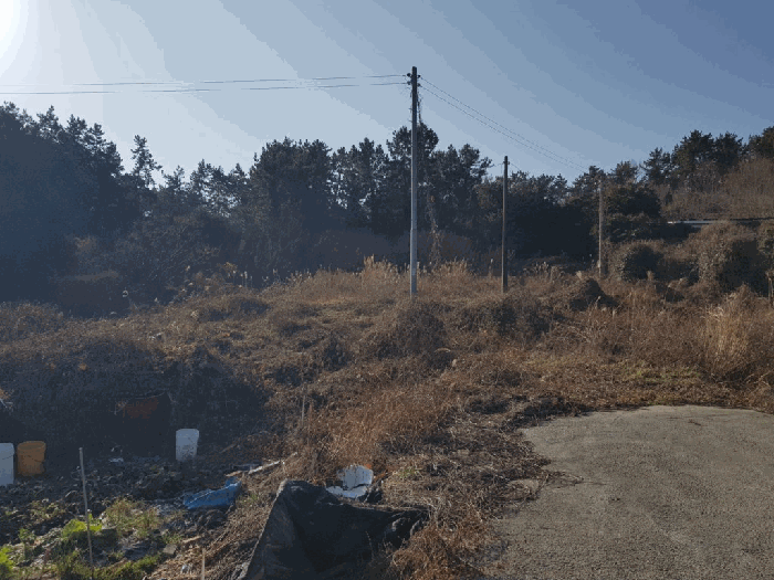 일련번호(1) 토지