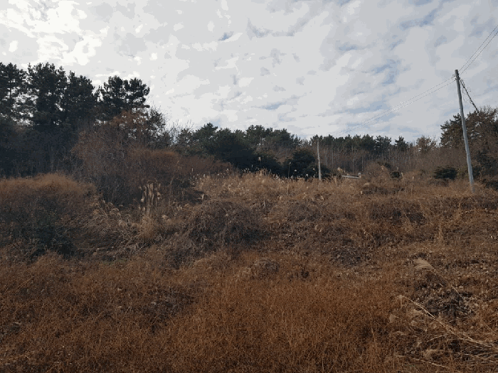 일련번호(1) 토지
