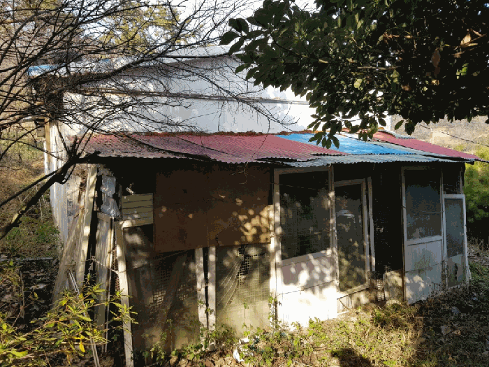일련번호(1) 지상 소재 제시외 건물 기호(ㄴ)