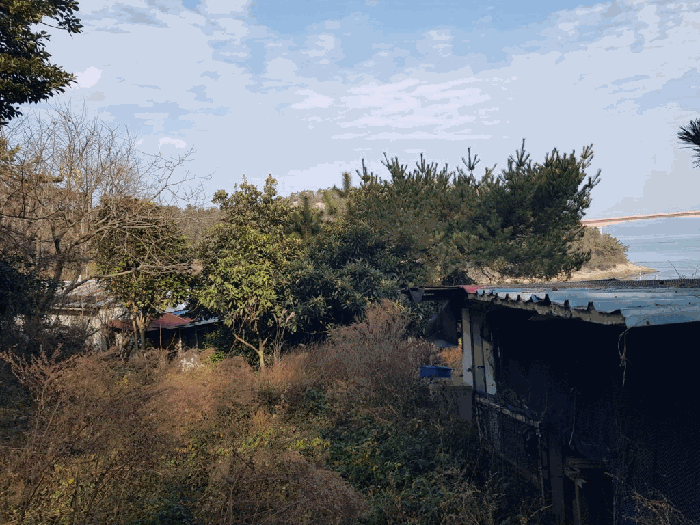 일련번호(1) 지상 수목