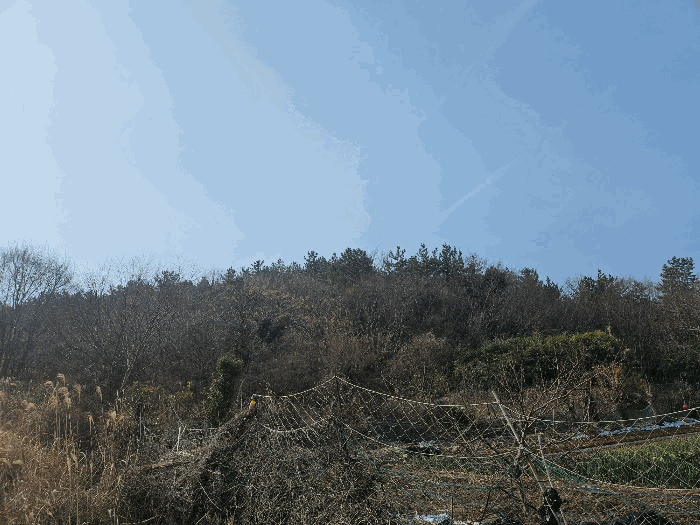 기호 1)
