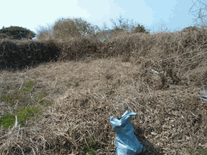 기호 6 동측 부분