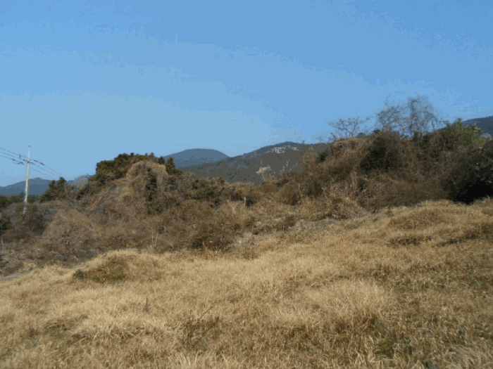 기호 3 남측에서 촬영(경계 부근 분묘)