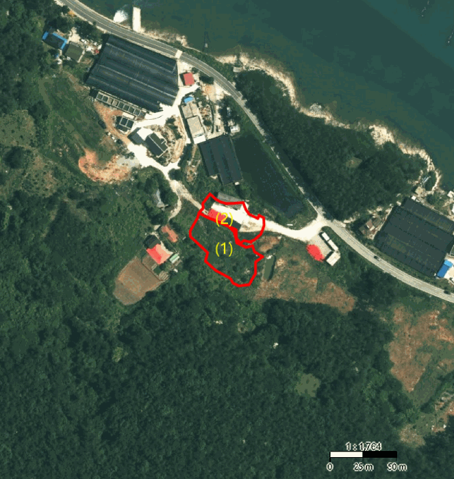 위 성 사 진 1