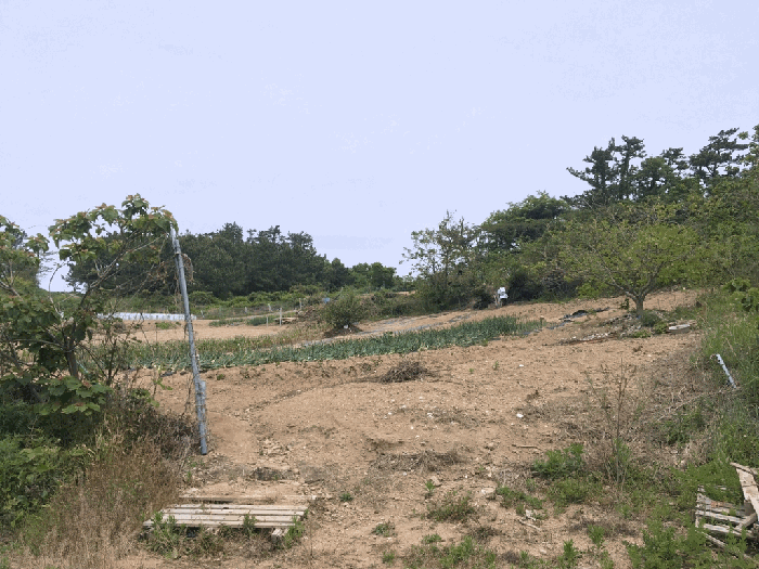 기호 1,2) 전경