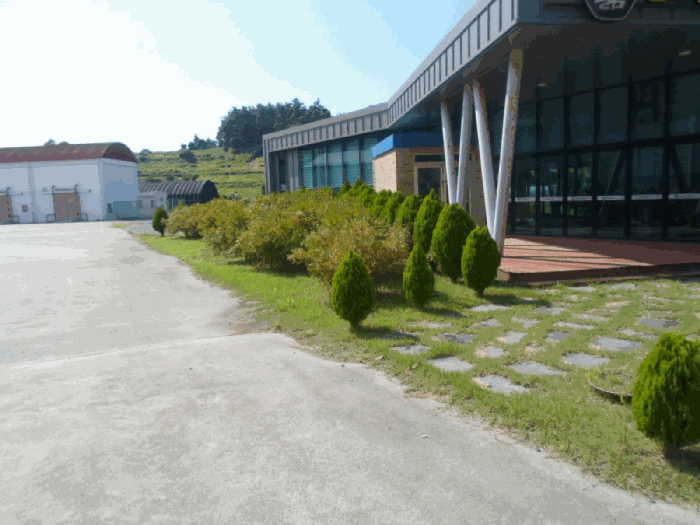 본건 소재 조경수목