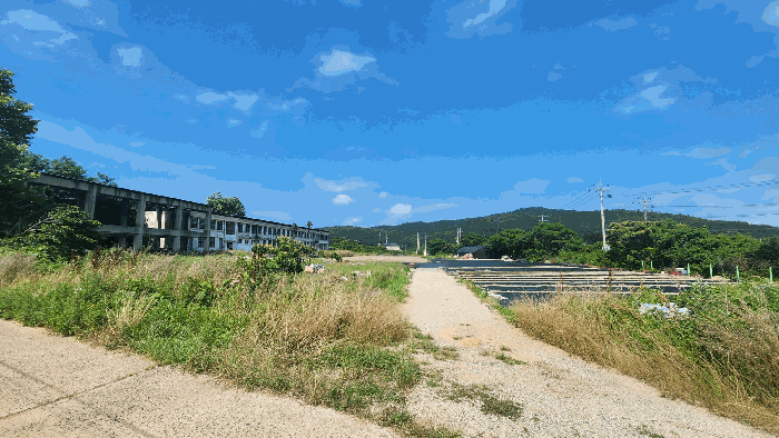 본건 기호(1)