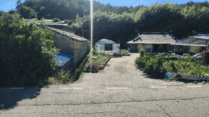 본건 기호(1)