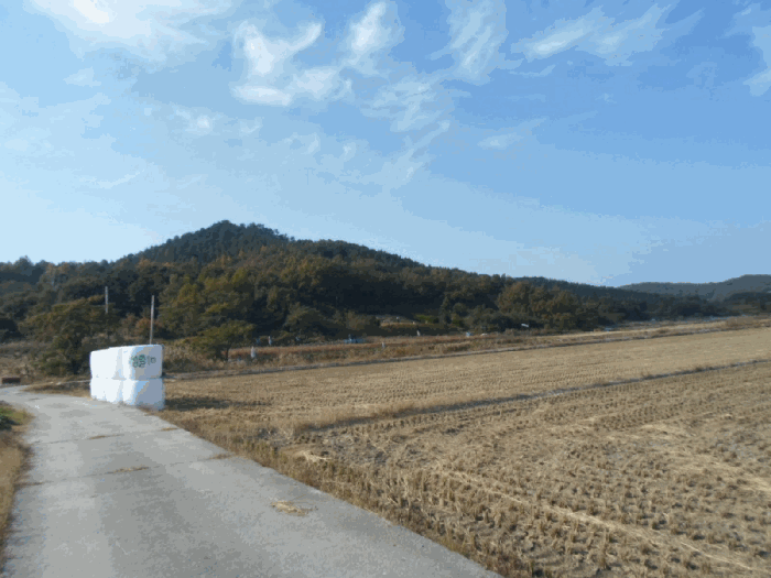 본건 원경