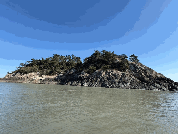 본건