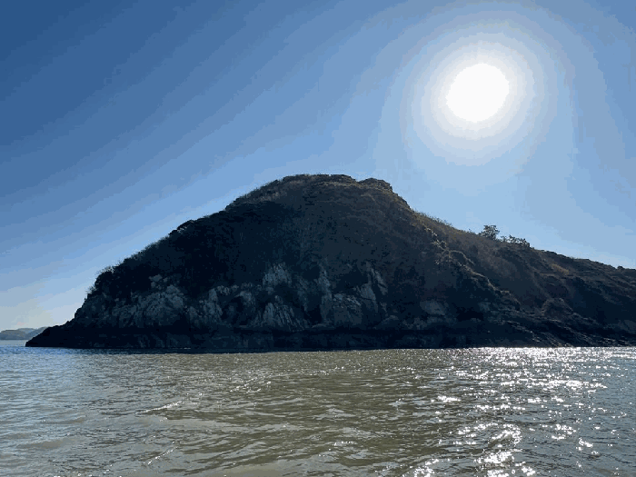 본건