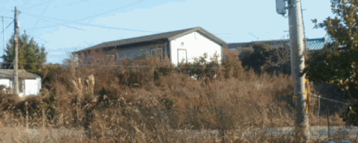 본건 전경