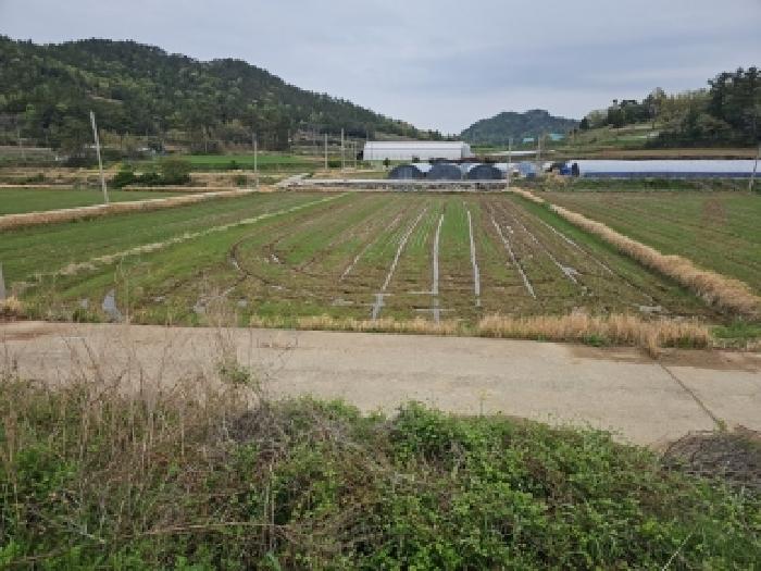 본건 토지
