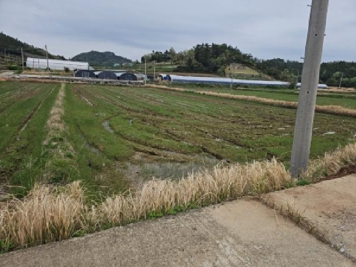 본건 토지